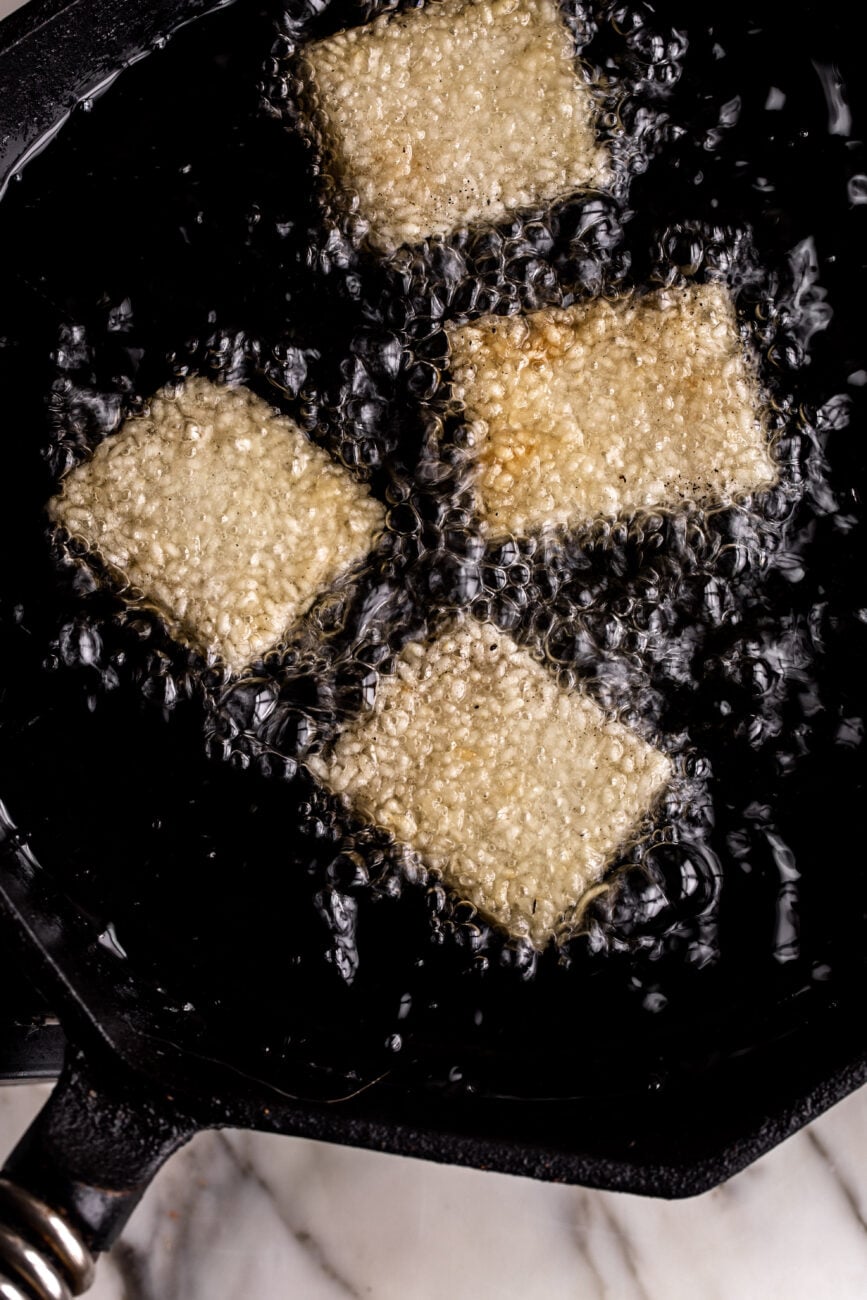 crispy fried squares of rice.