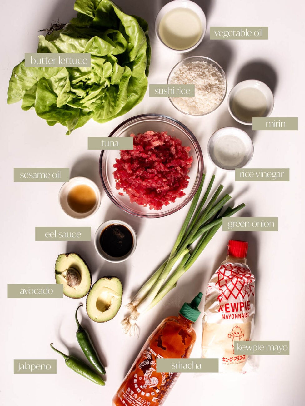 spicy tuna crispy rice labeled ingredient photo.