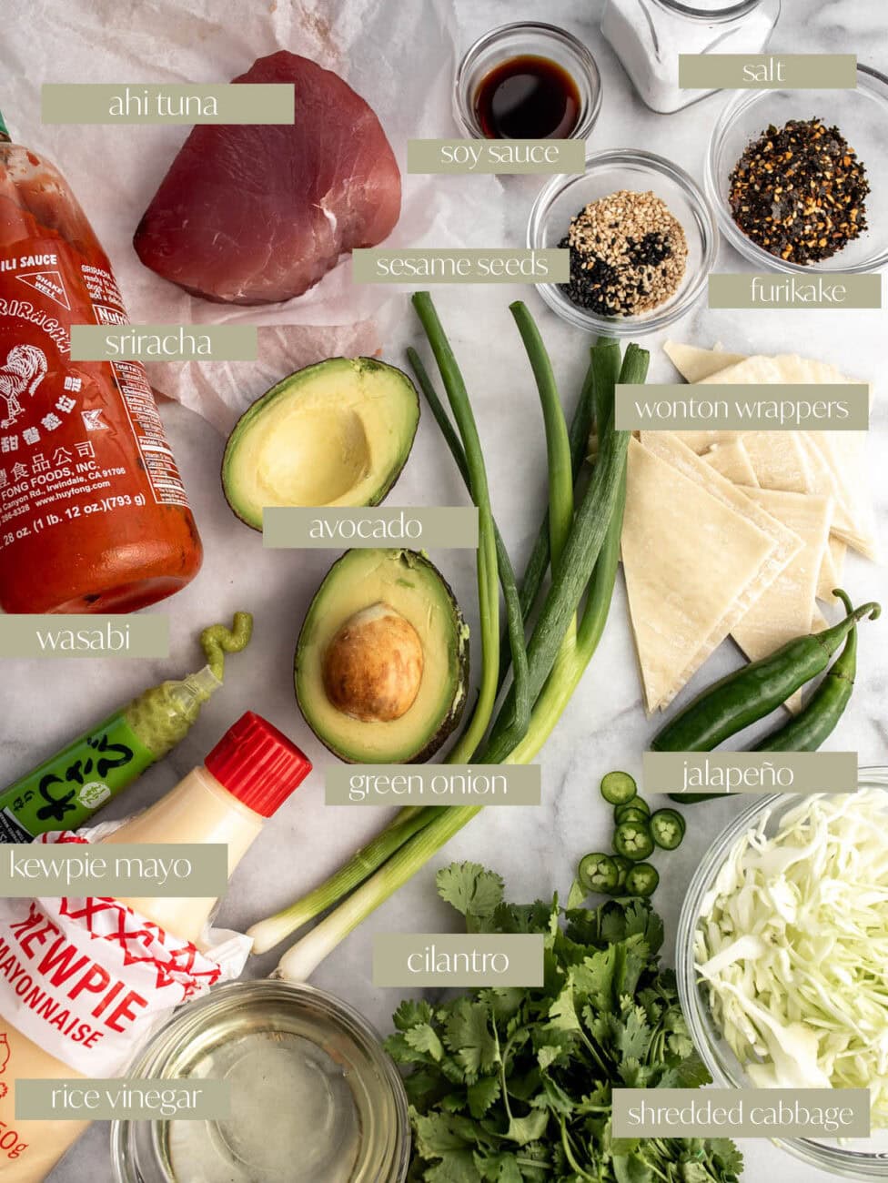 ahi tuna wonton nachos labeled ingredient photo.