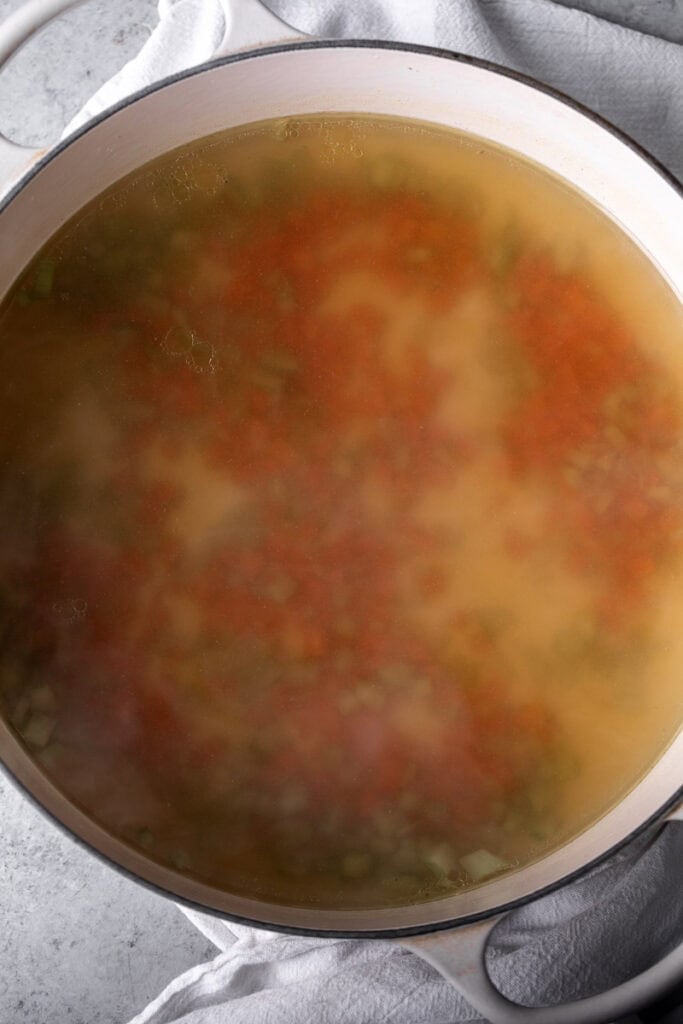 chicken soup broth with vegetables.