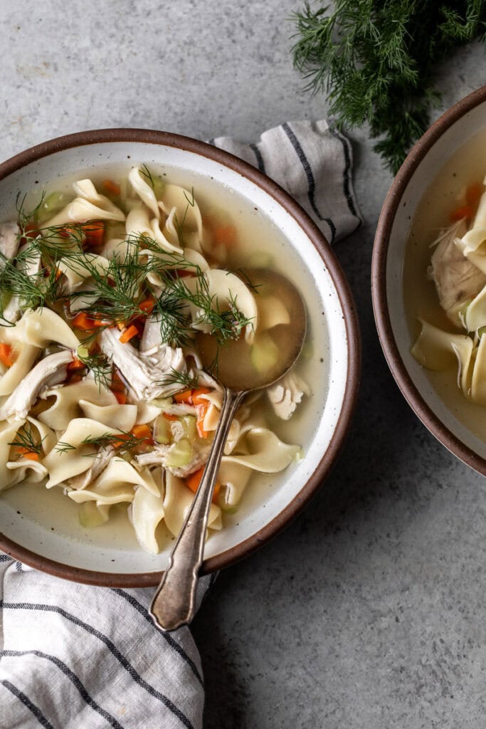 homemade old-school chicken noodle soup bowls.