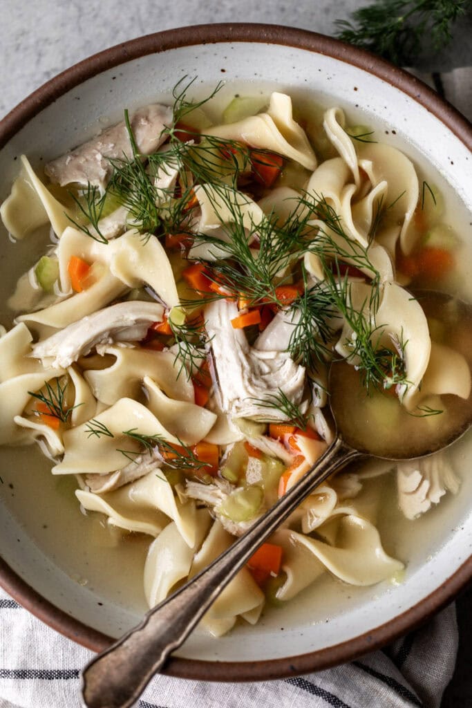 homemade old-school chicken noodle soup with dill.