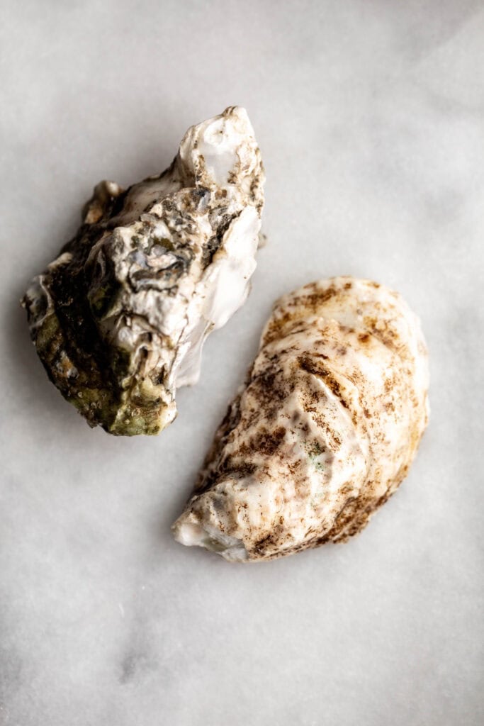 shucked oyster shells.