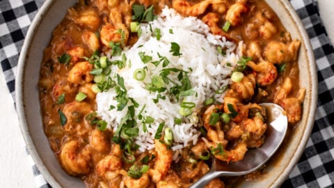 spoon of Crawfish Etouffée with rice and green onions.