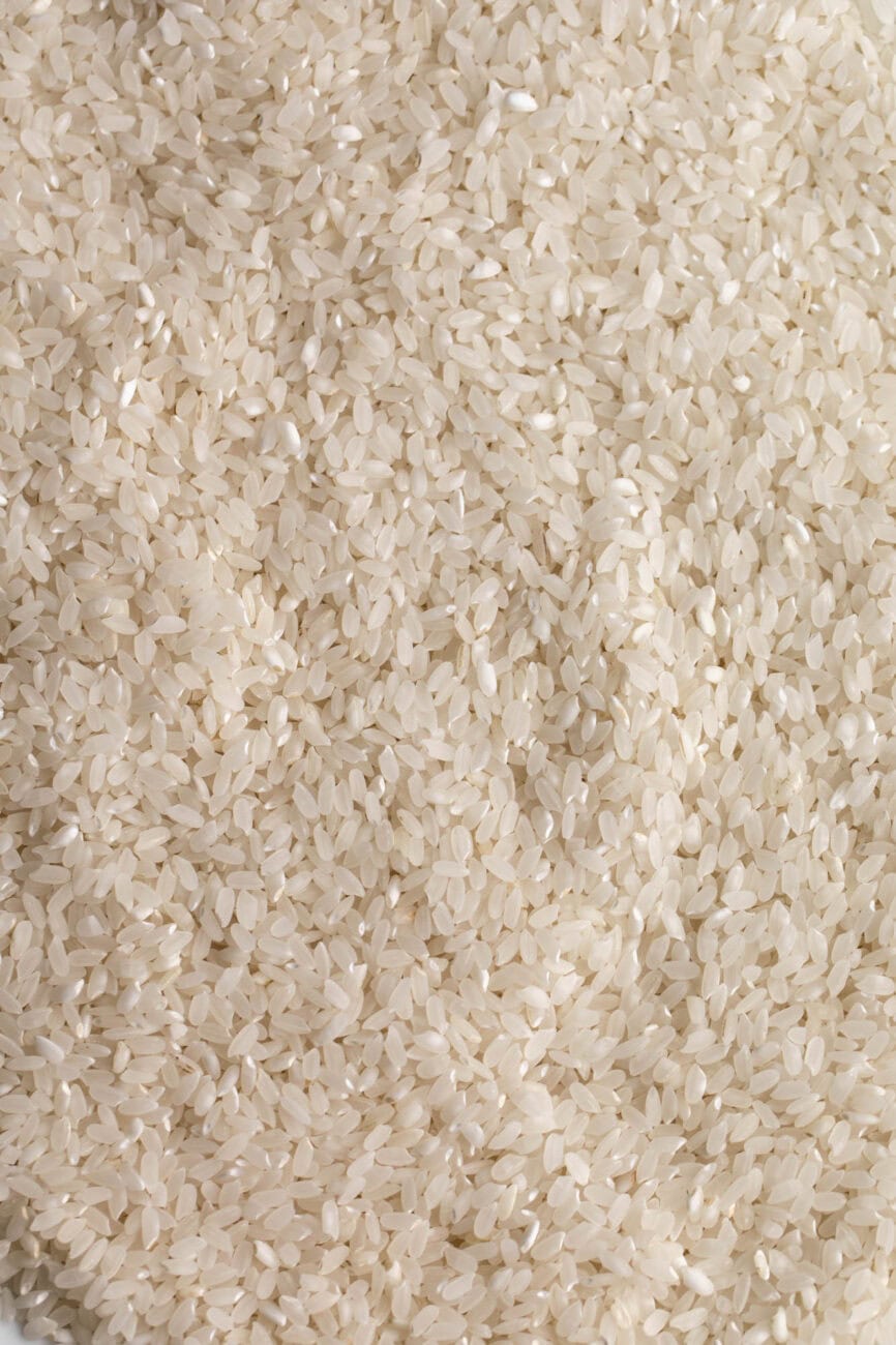 short grain sushi rice.