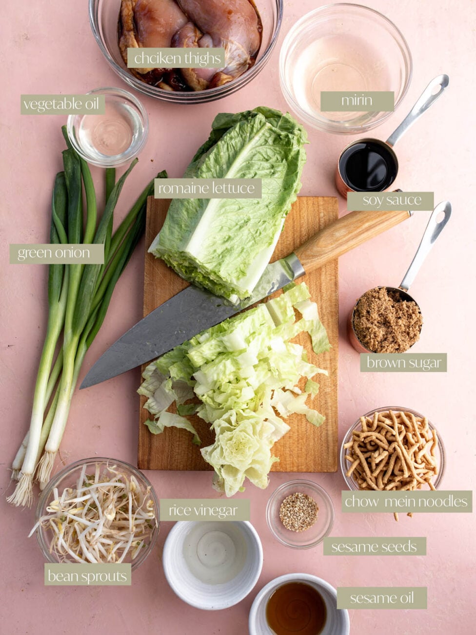 teriyaki chicken salad labeled ingredient flatlay.