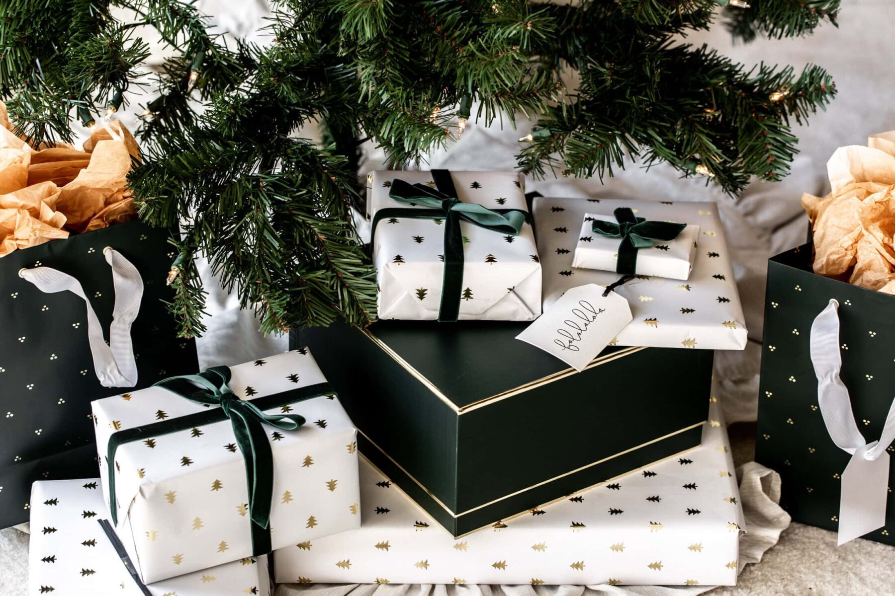 Wrapped presents under christmas tree.