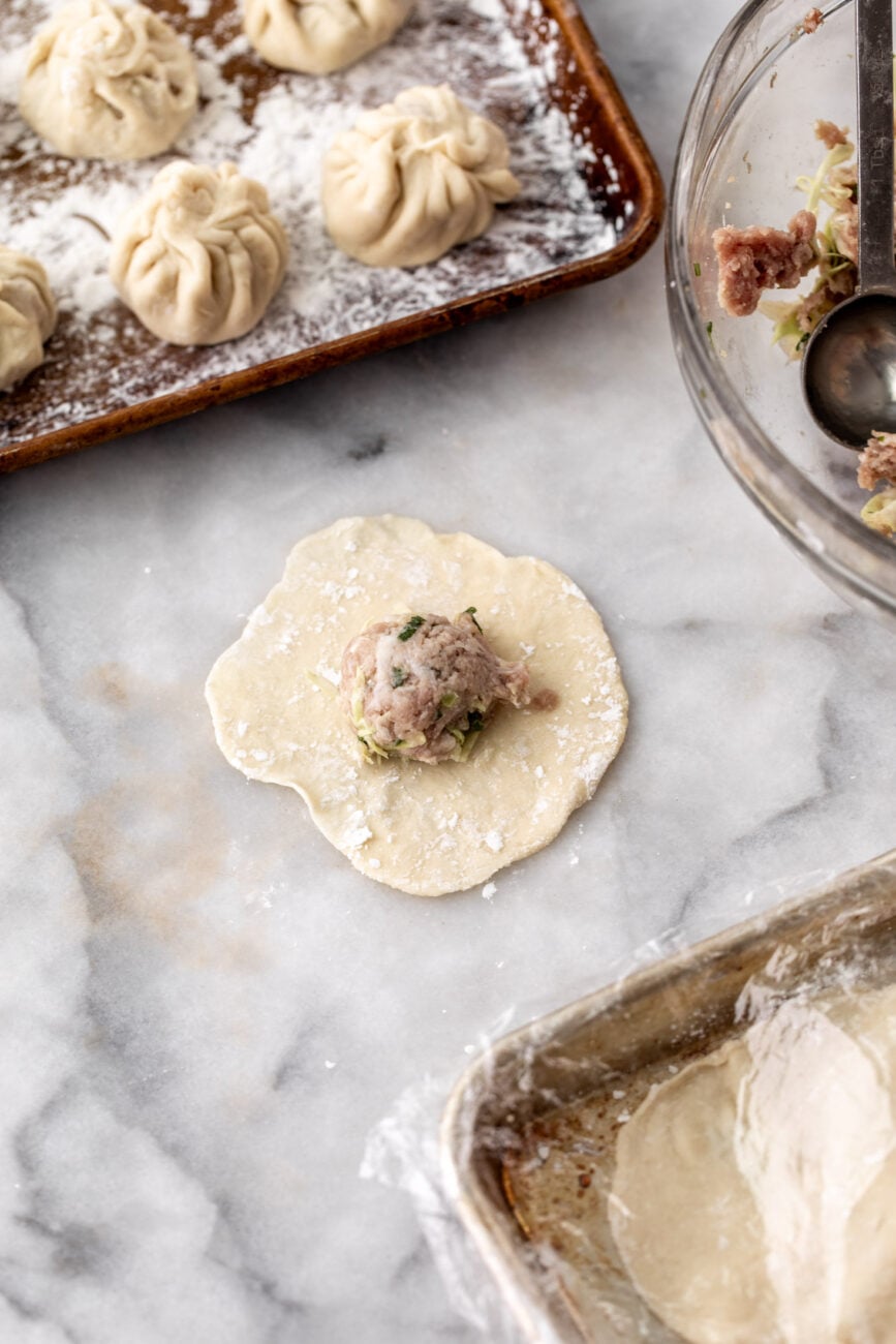 pork filling on dumpling wrapper ready to wrap it up.