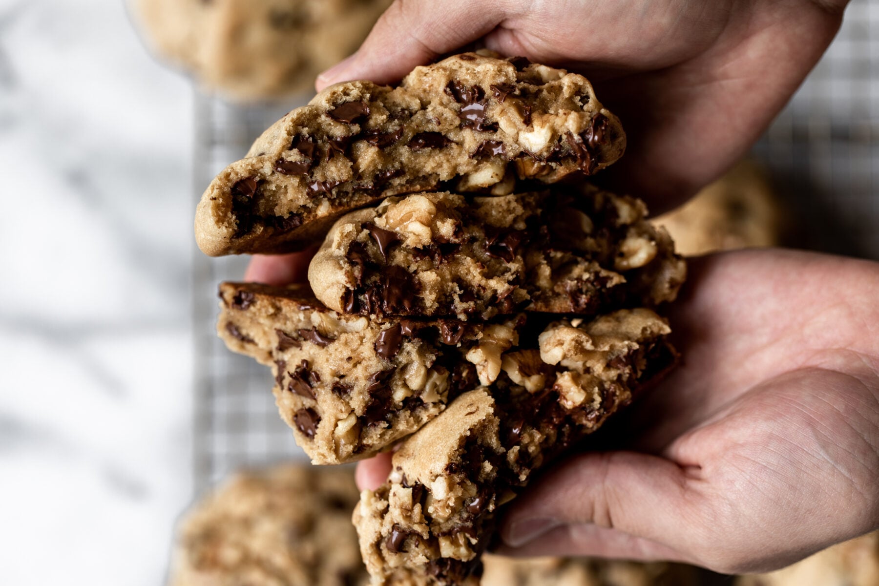 giant gooey chocolate chip walnut cookies levain bakery inspired recipe.