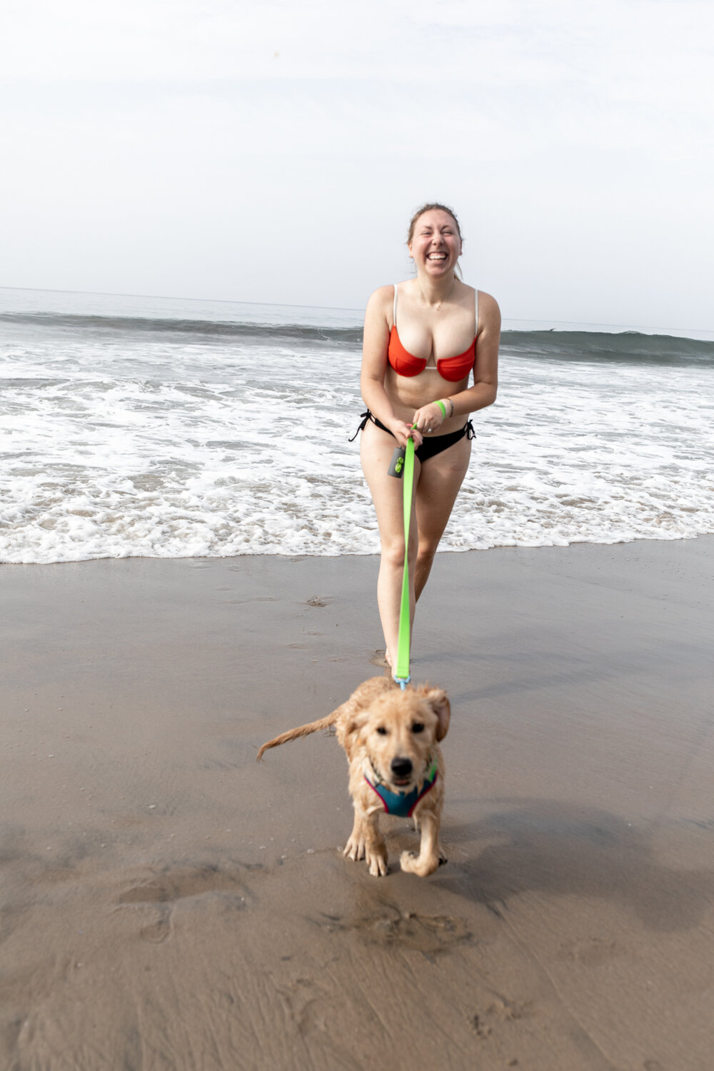 running with golden retriever puppy on the beach 