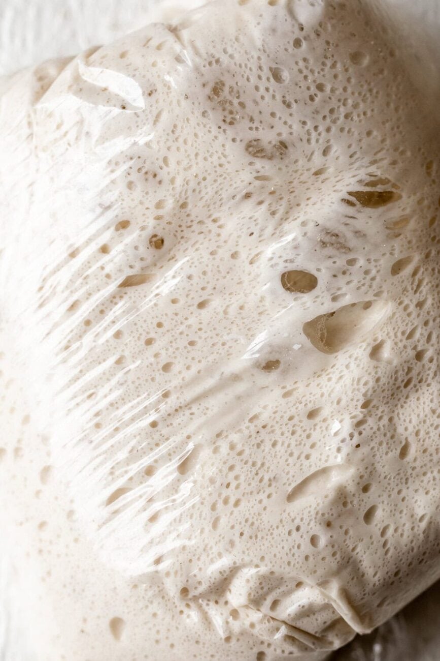 homemade pizza dough.