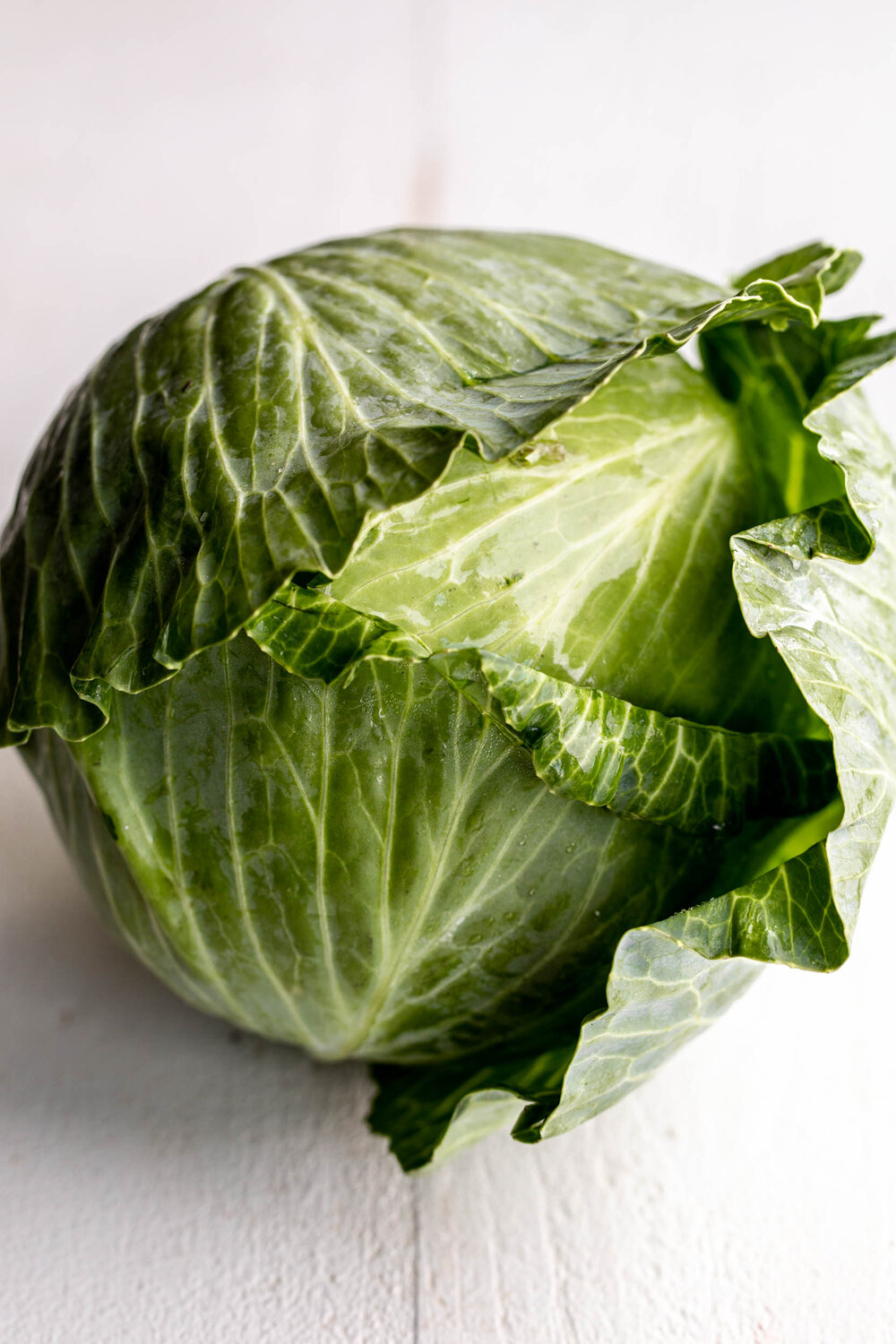 head of green cabbage