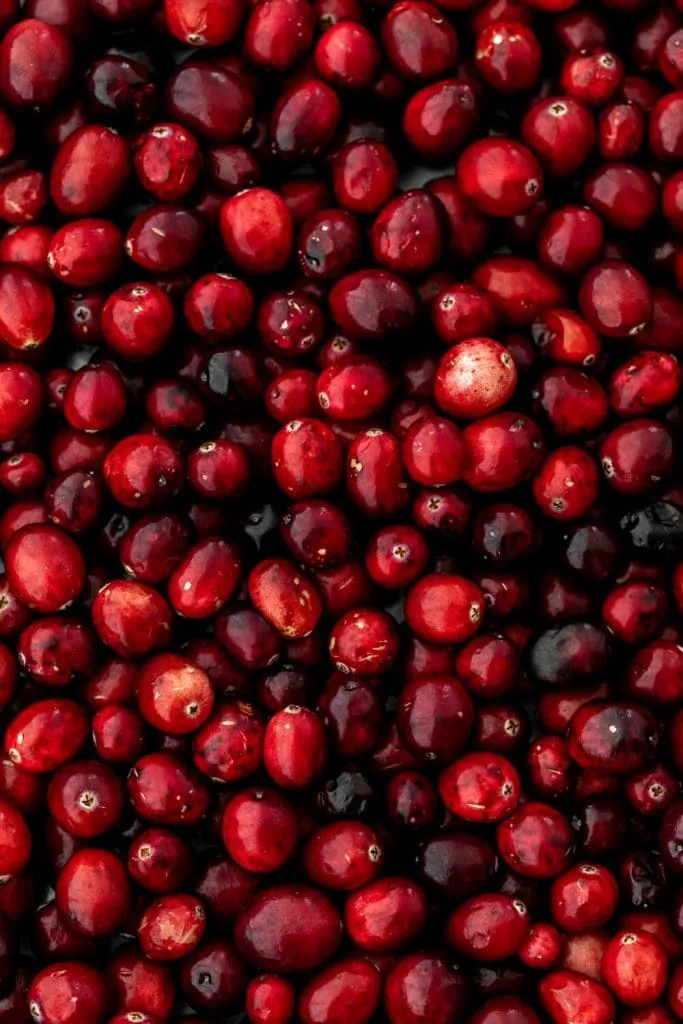 closeup fresh cranberries