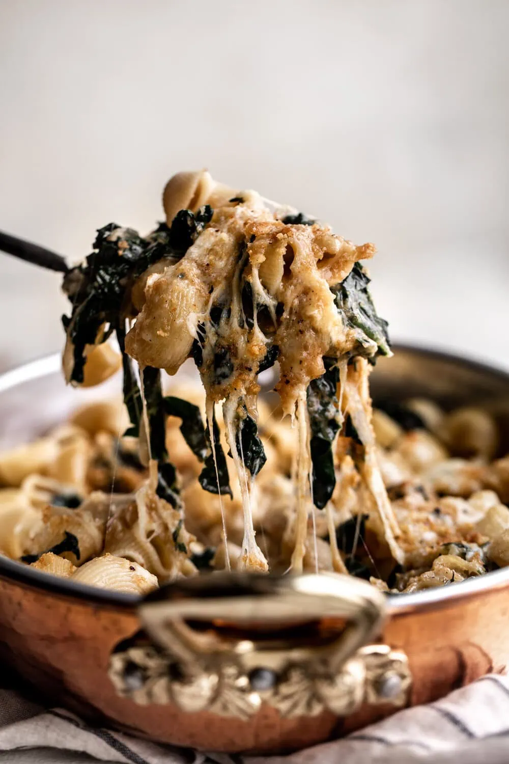 French Onion Soup Pasta recipe