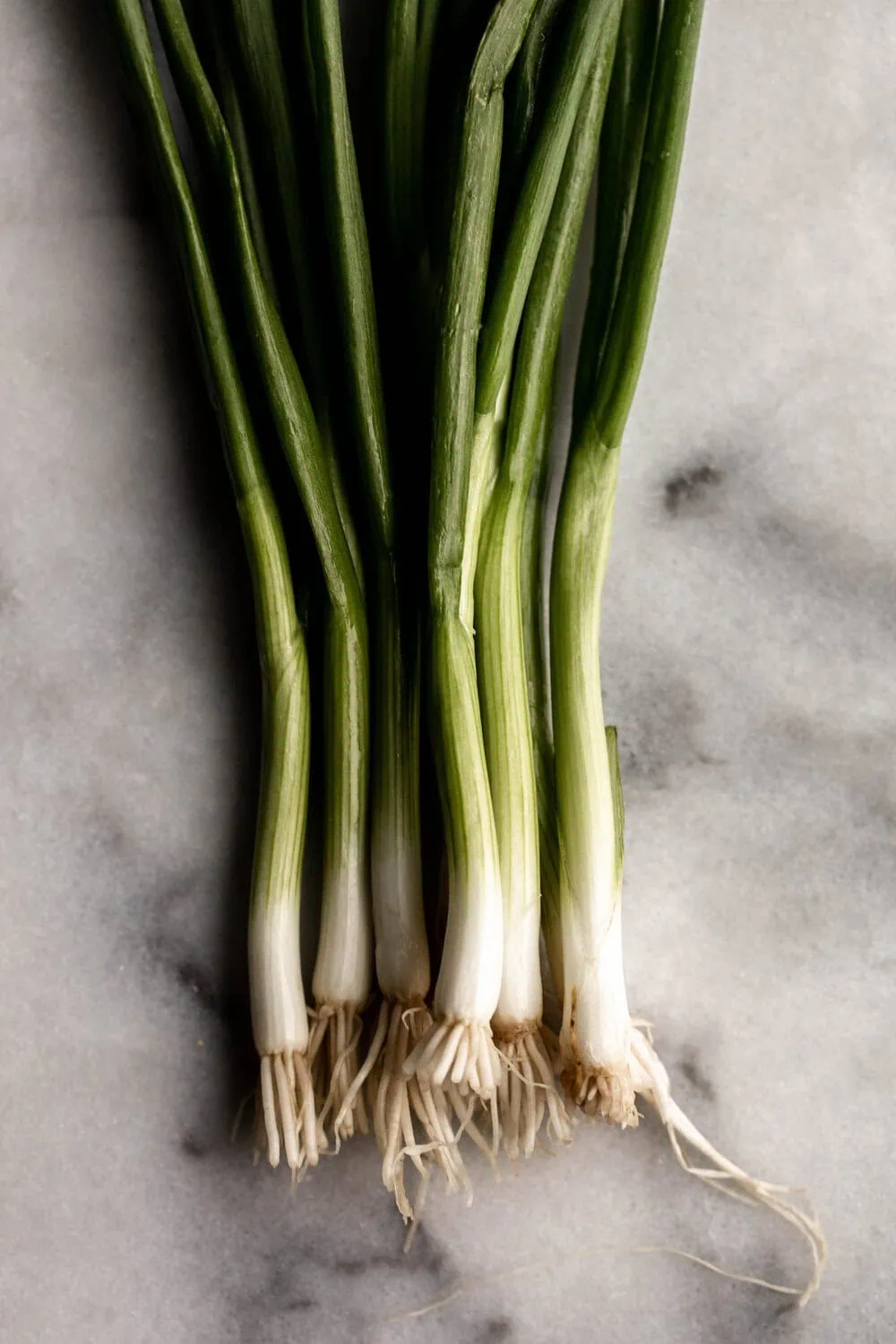 bunch of green onions scallions on marble