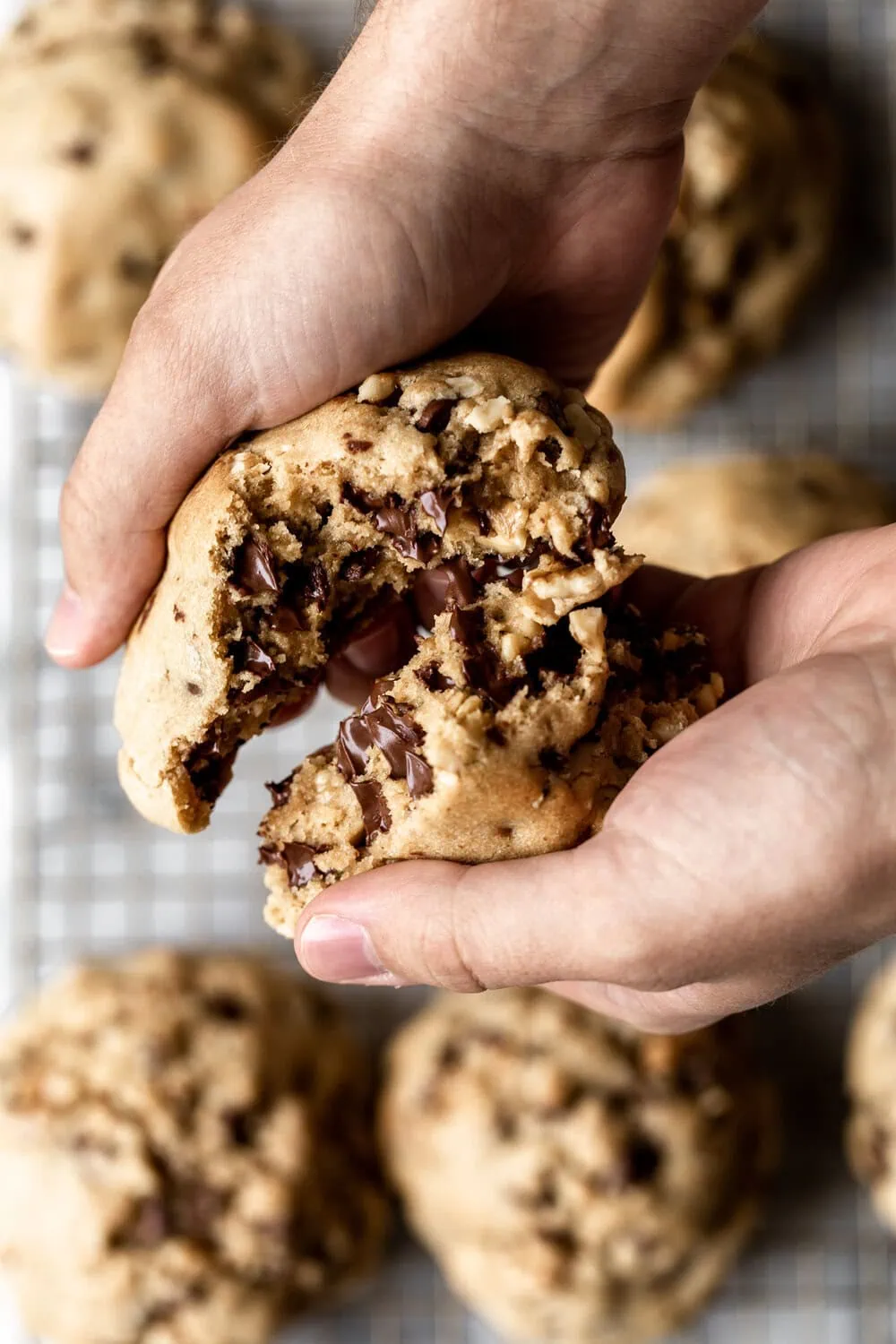 Giant Gooey Chocolate Chip Walnut Cookies Levain Bakery Inspired