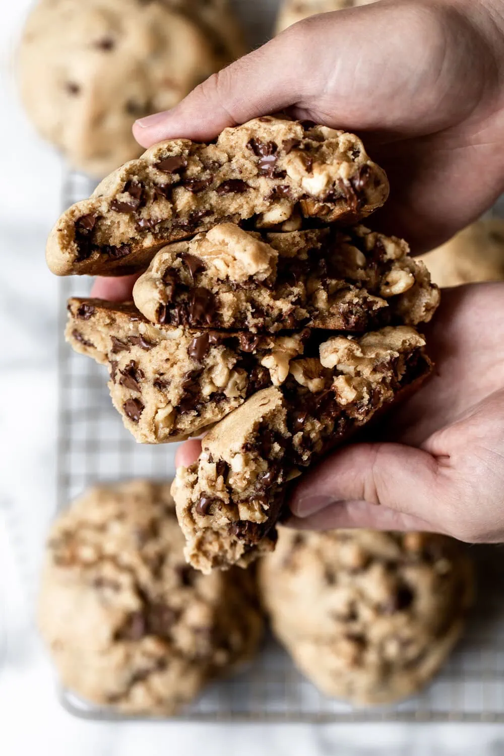 Giant Gooey Chocolate Chip Walnut Cookies Levain Bakery Inspired recipe 