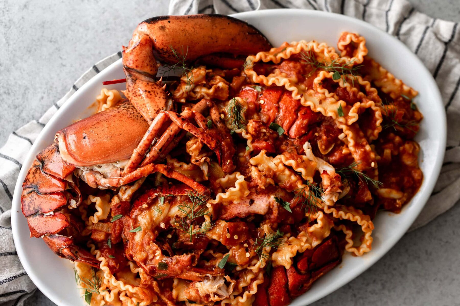 shell on lobster with mafalde pasta noodles in red tomato sauce on a white platter.