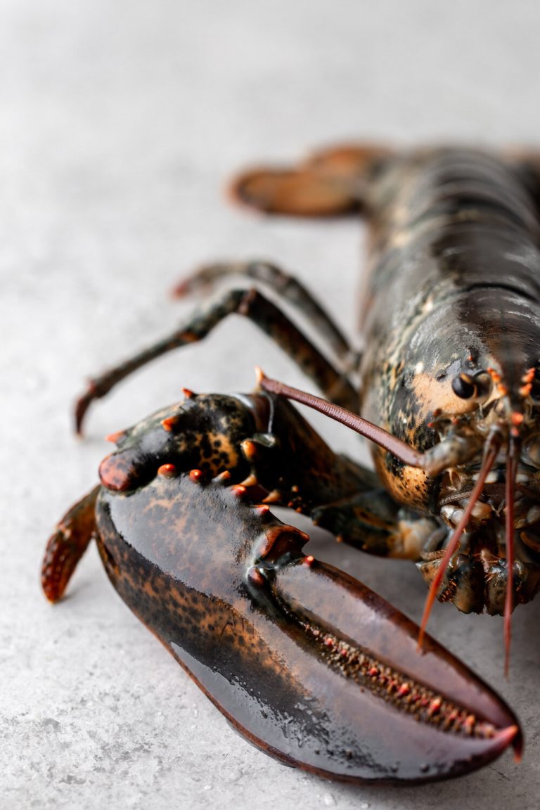 Lobster Fra Diavolo Cooking with Cocktail Rings