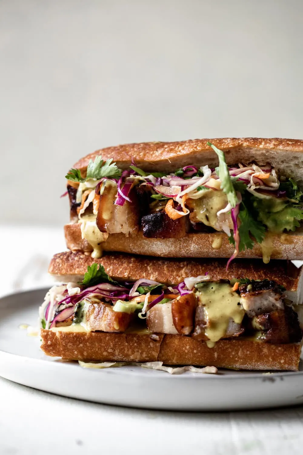 Roast Pork Belly Sandwich with Yellow Coconut Curry Sauce & Thai Slaw-57.jpg