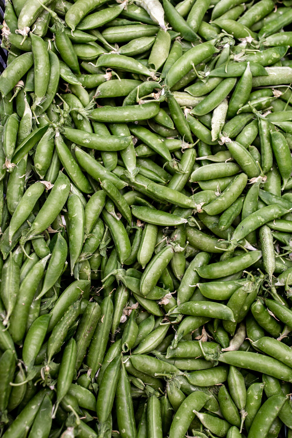 english peas