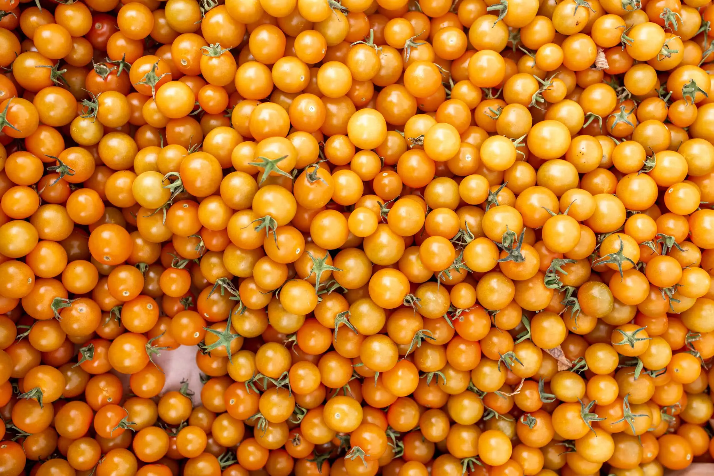 Featured Recipe Image