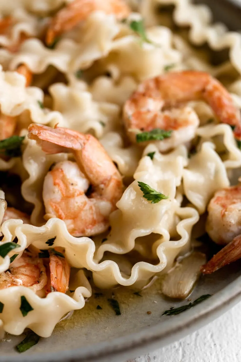 Shrimp Scampi pasta with shrimp and mafalde pasta garnished with parsley