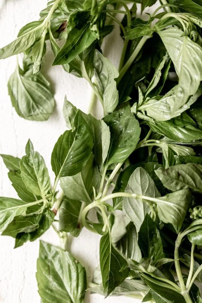 basil leaves on white surface