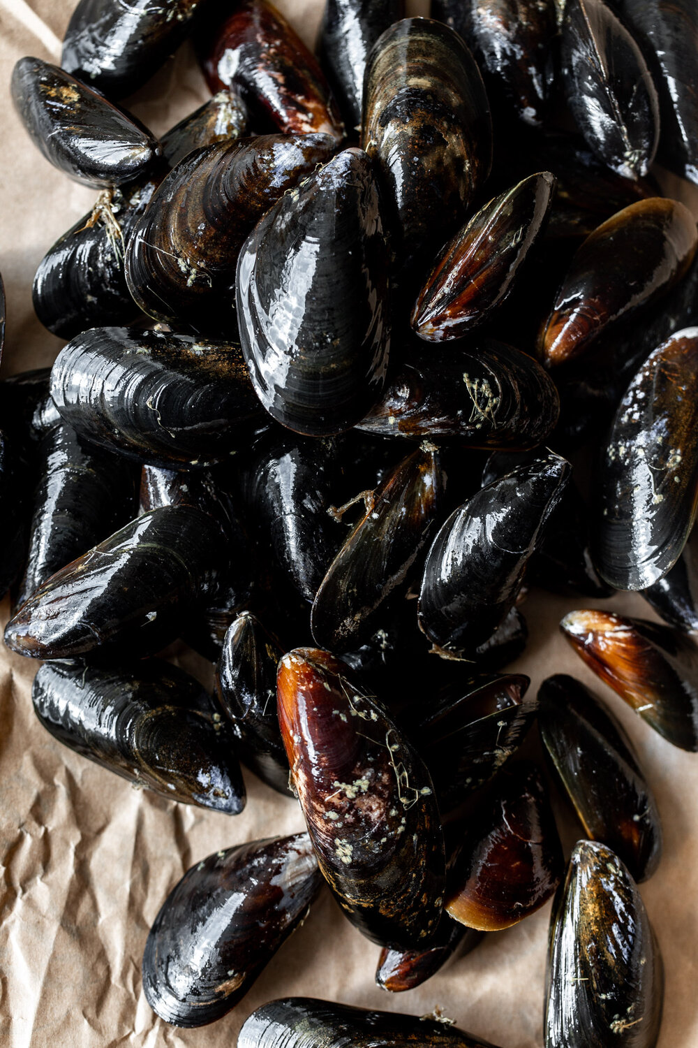 scrubbed and debearded mussels