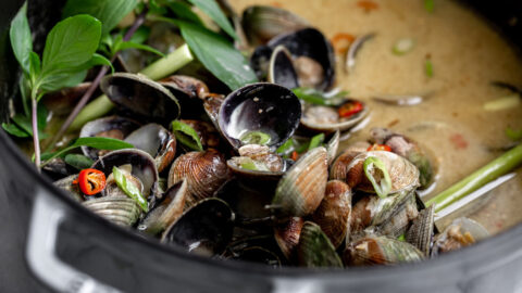 thai lemongrass coconut clams with green onion and thai basil recipe.