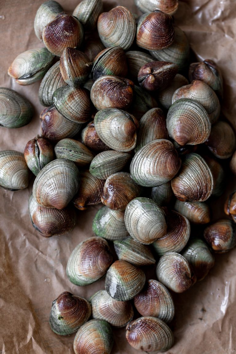 Thai Lemongrass Coconut Clams Cooking with Cocktail Rings