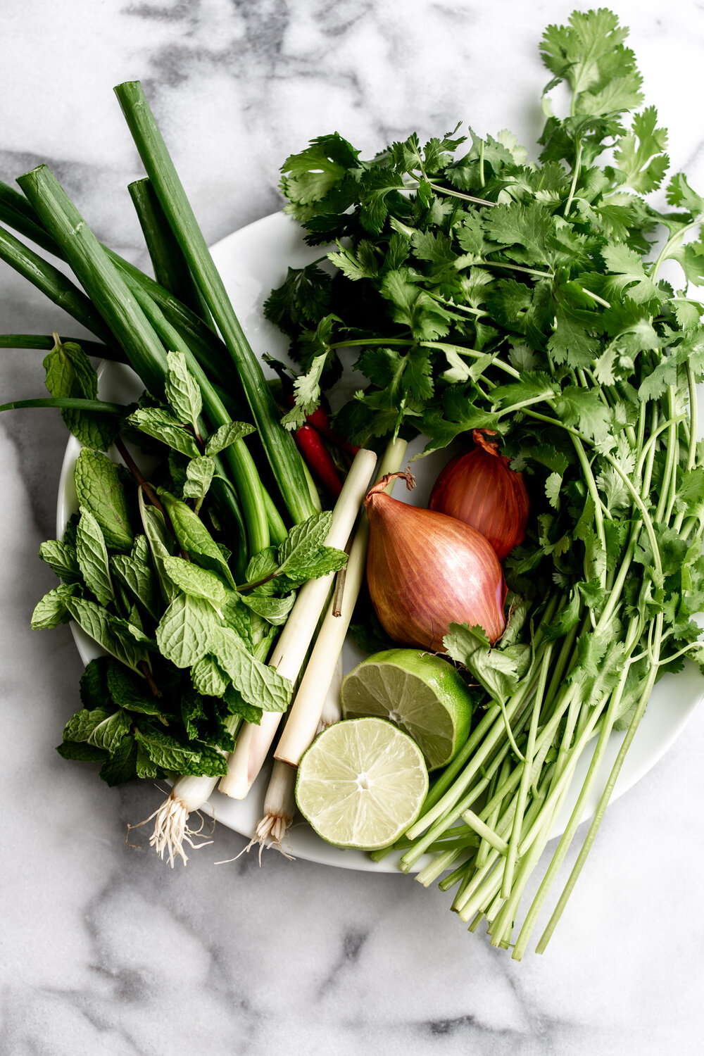 green onion mint cilantro shallots lime 