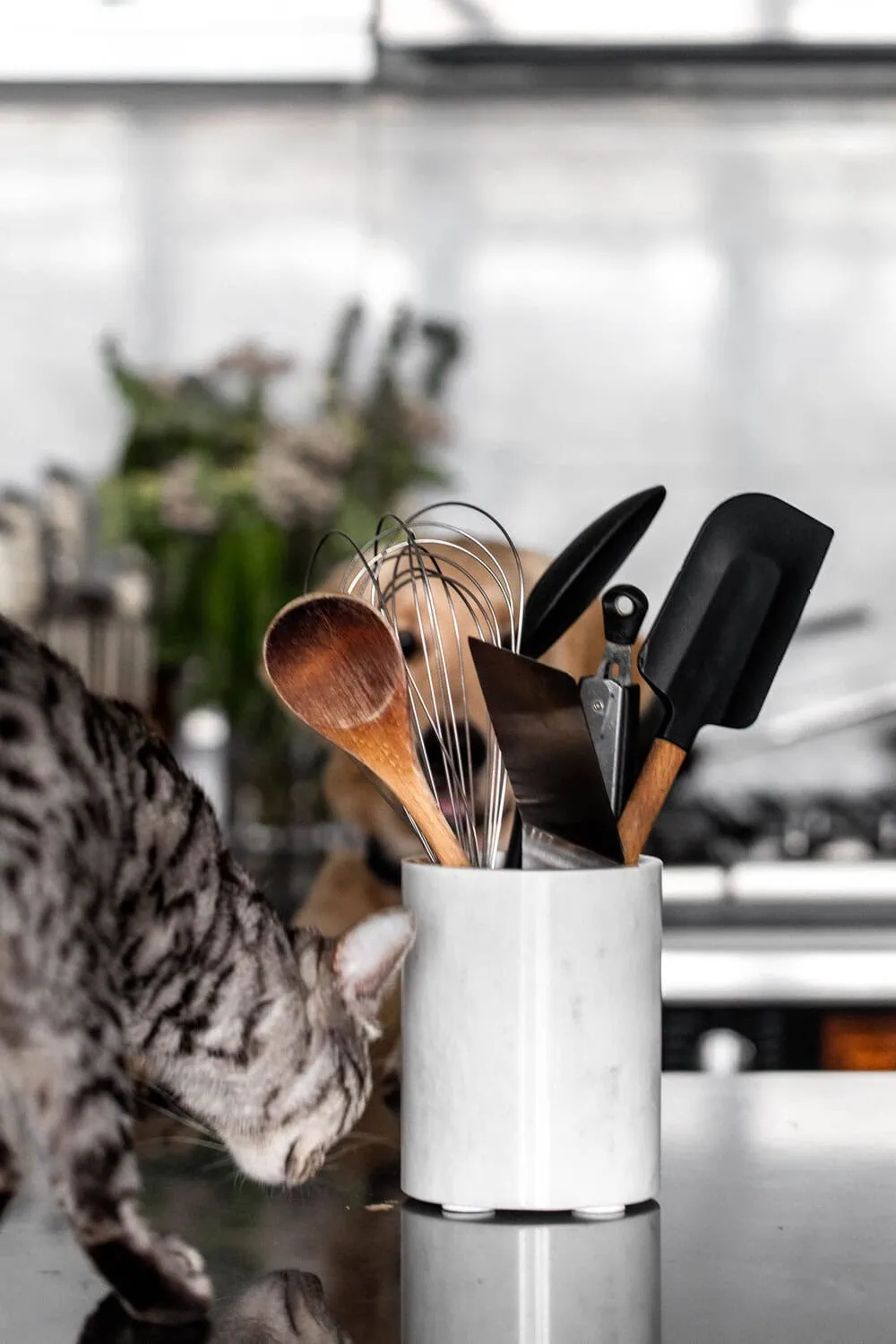 The Top 10 Essential Kitchen Tools Every Cook Should Own utensils in marble container