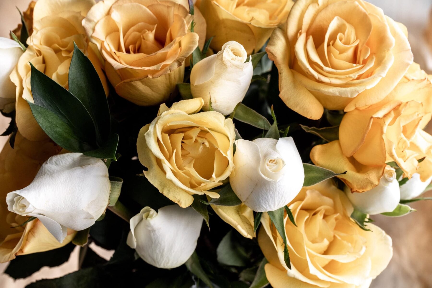 Valentine’s Day Menu Ideas.