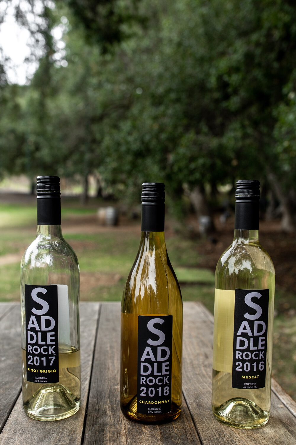 saddle rock wines