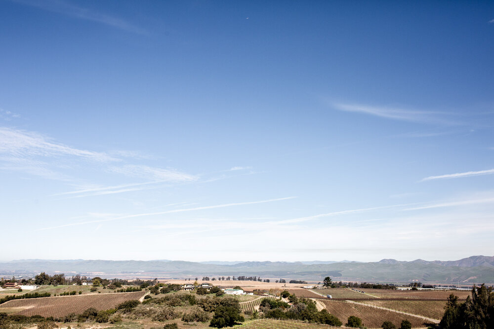 Presqu’ile Winery