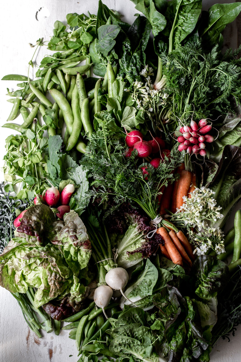 spring vegetables peas radishes carrots lettuce