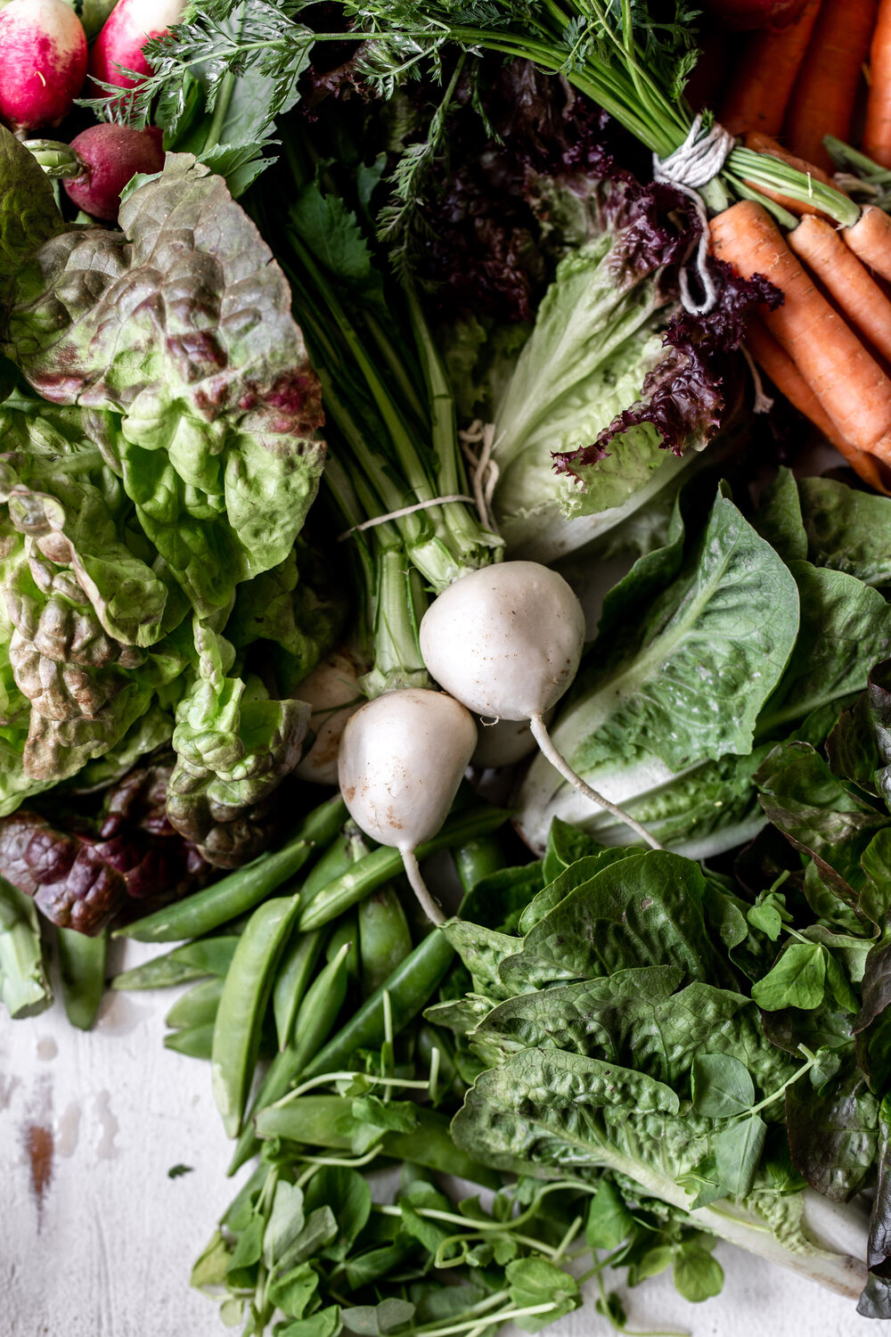 turnips and radish