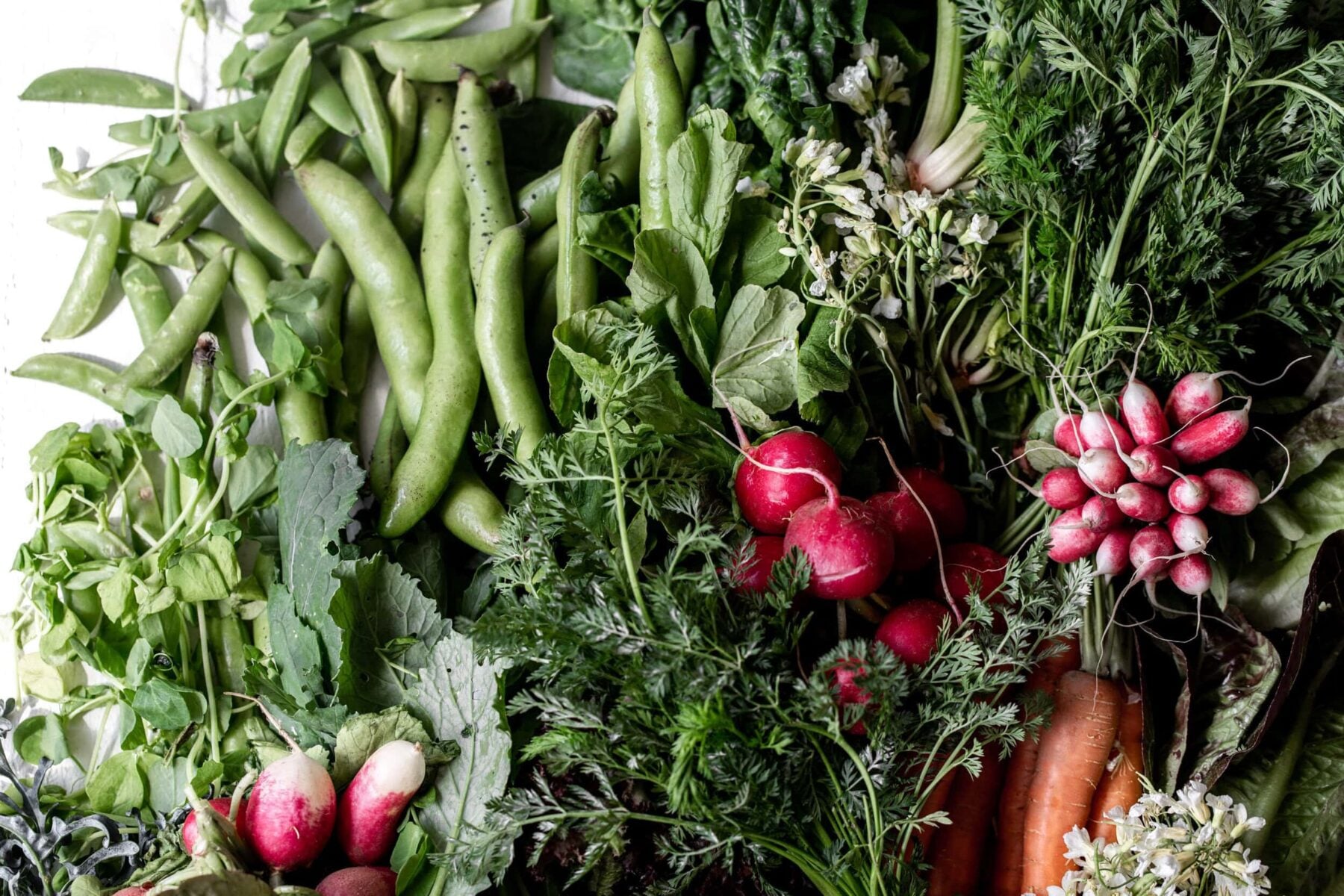 spring produce carrots and radish.