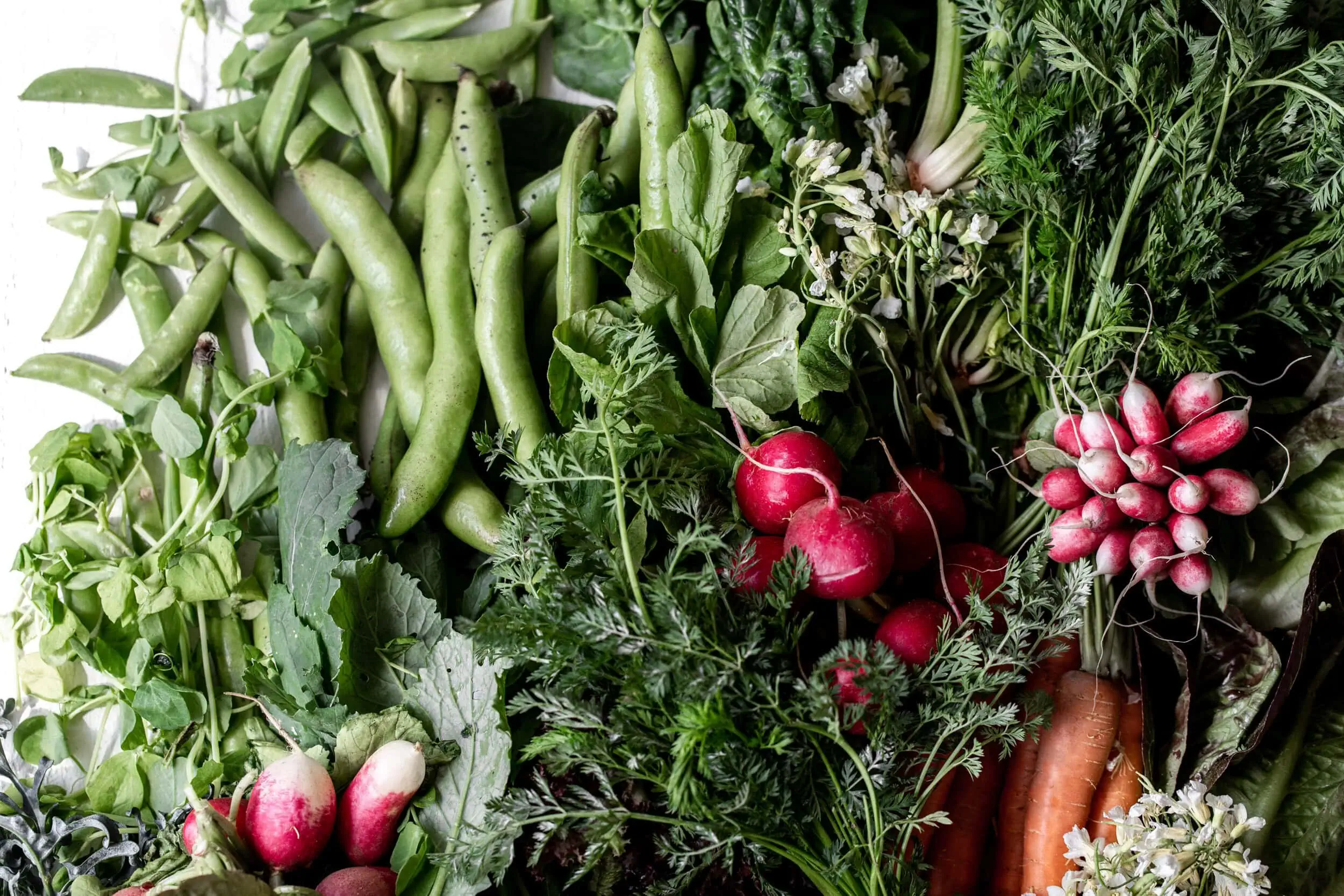 Featured Recipe Image