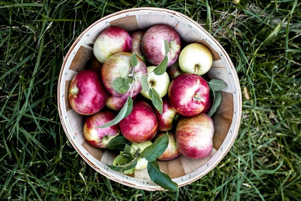 related recipe image