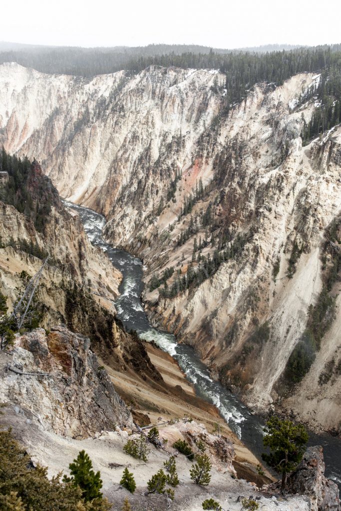 Yellowstone national park montana