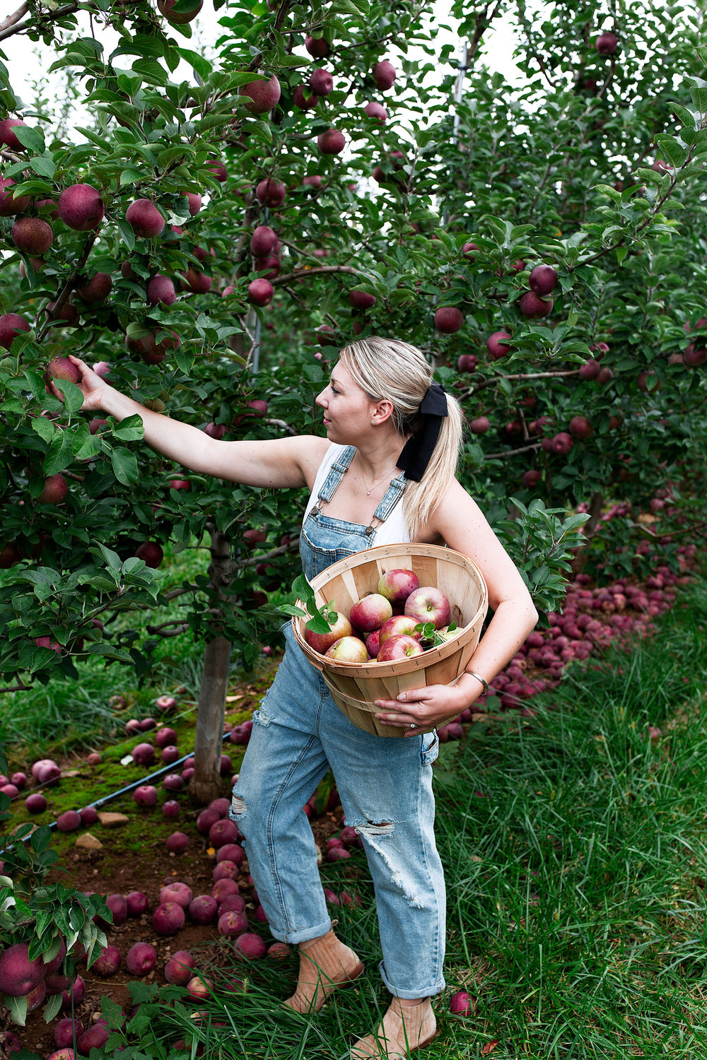 melicks town farm califon new jersey cooking with cocktail rings