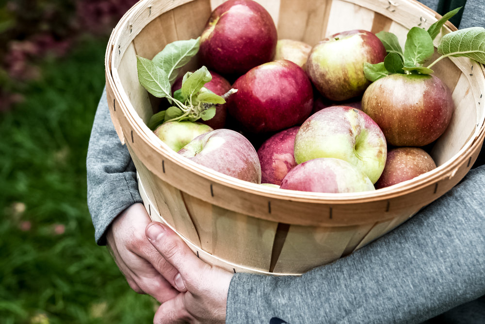 apples melicks town farm califon new jersey cooking with cocktail rings