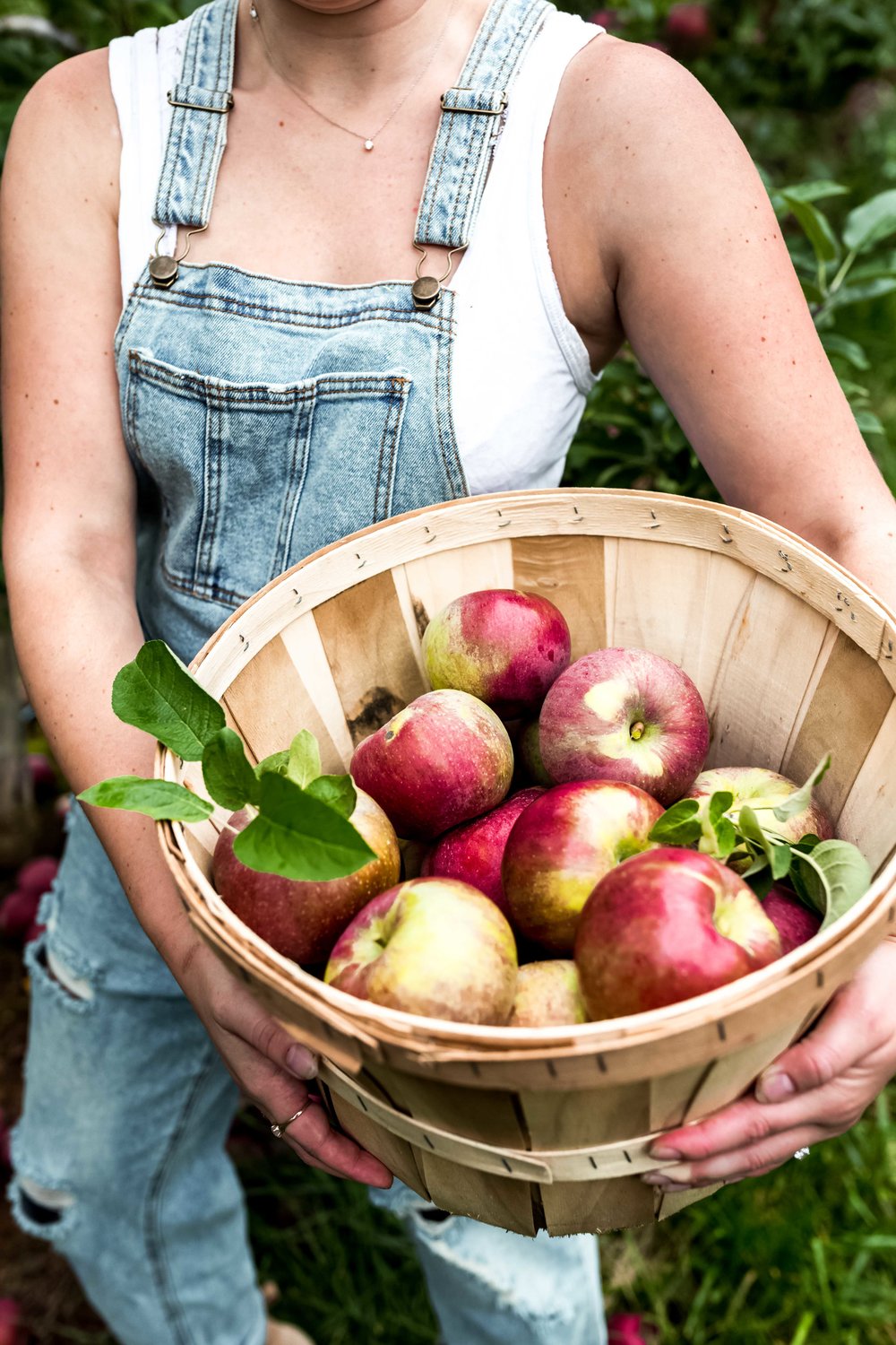 melicks town farm califon new jersey cooking with cocktail rings