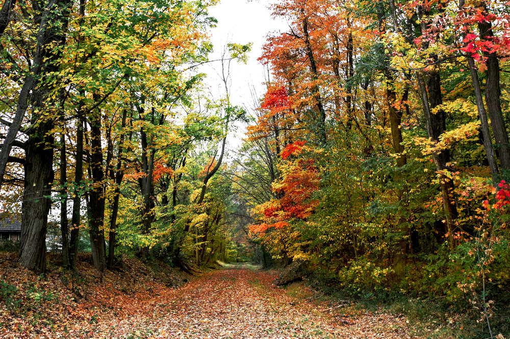 new jersey fall foliage