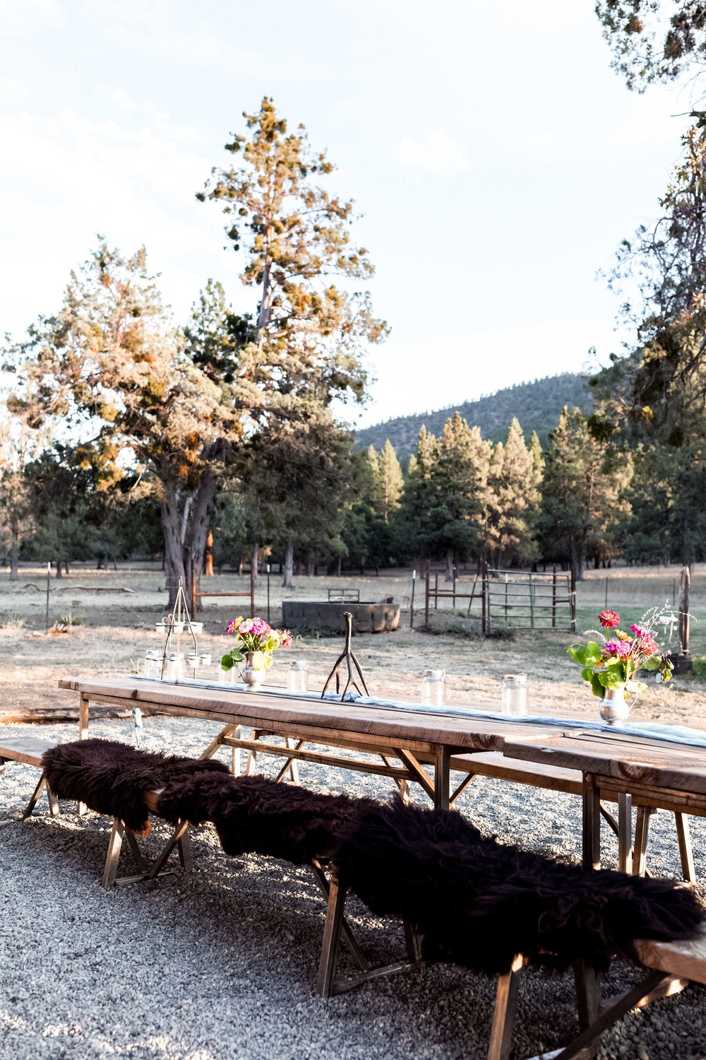 wood benches at the Five Marys Farm