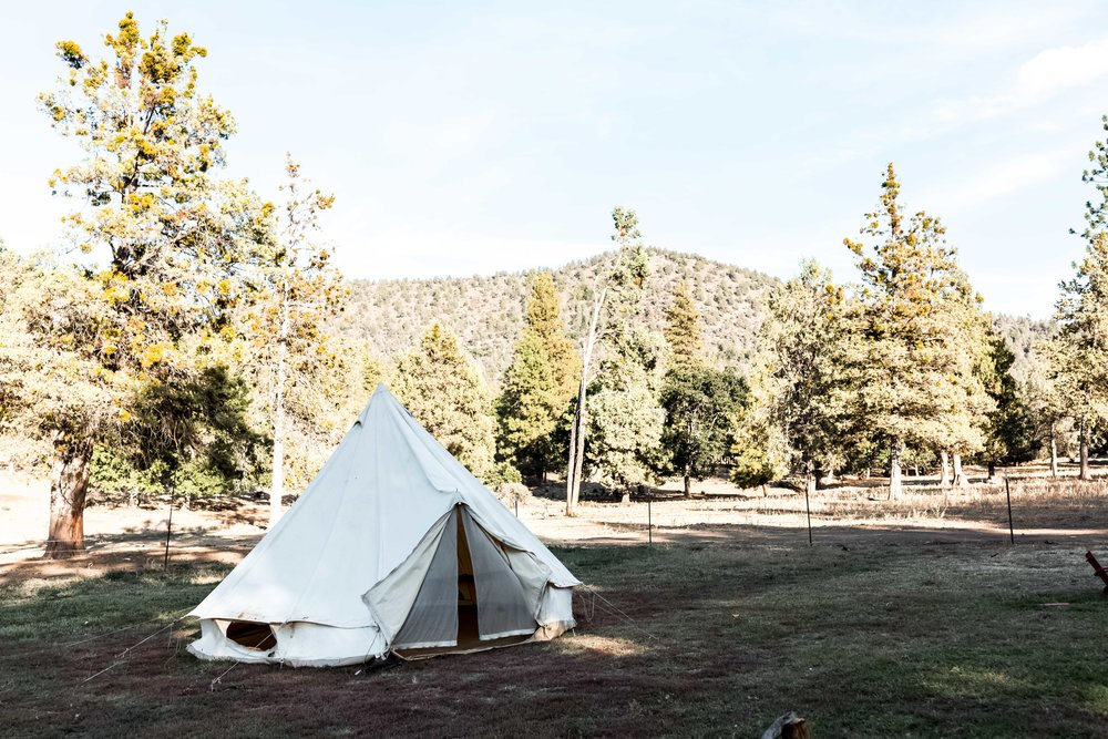 five marys farm camp with american lamb cooking with cocktail rings tents