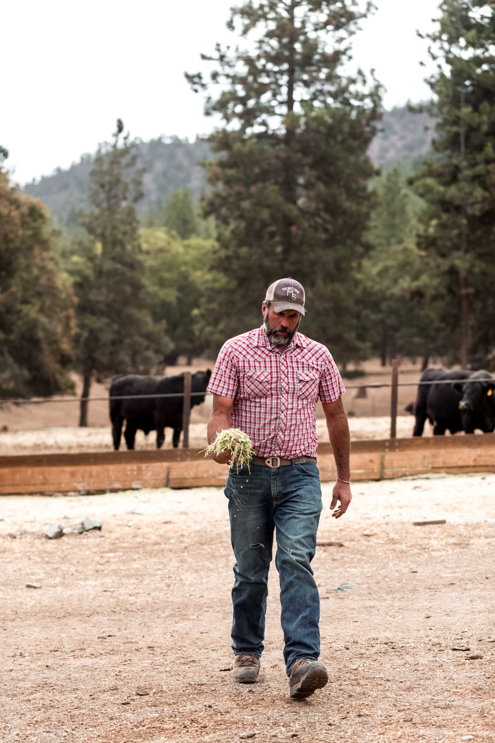 Brian five marys farm