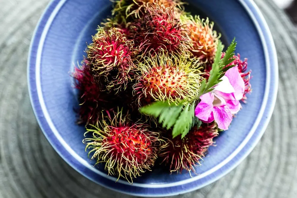 rambutan fruit